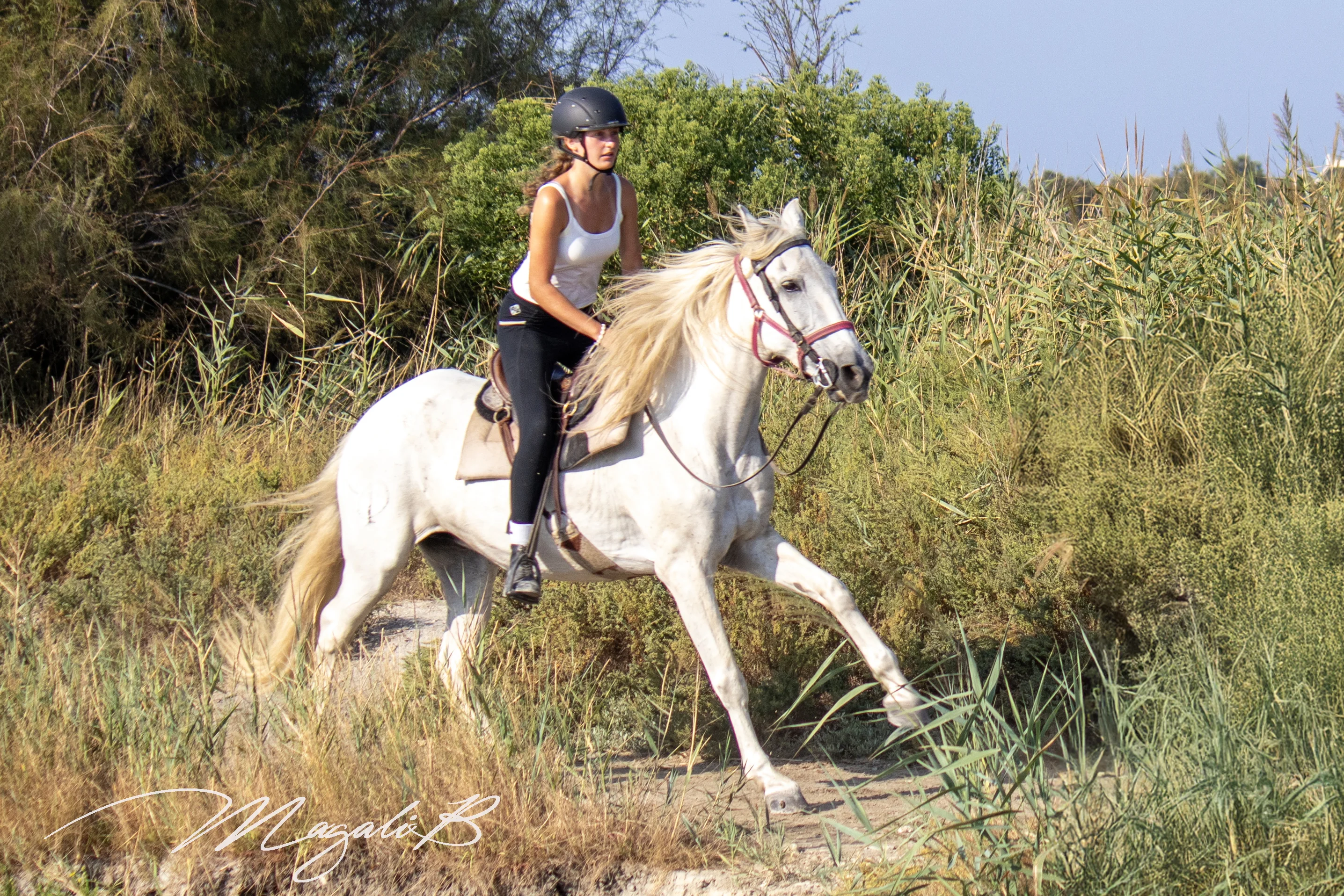 Balade à cheval en Camargue : La Sportive