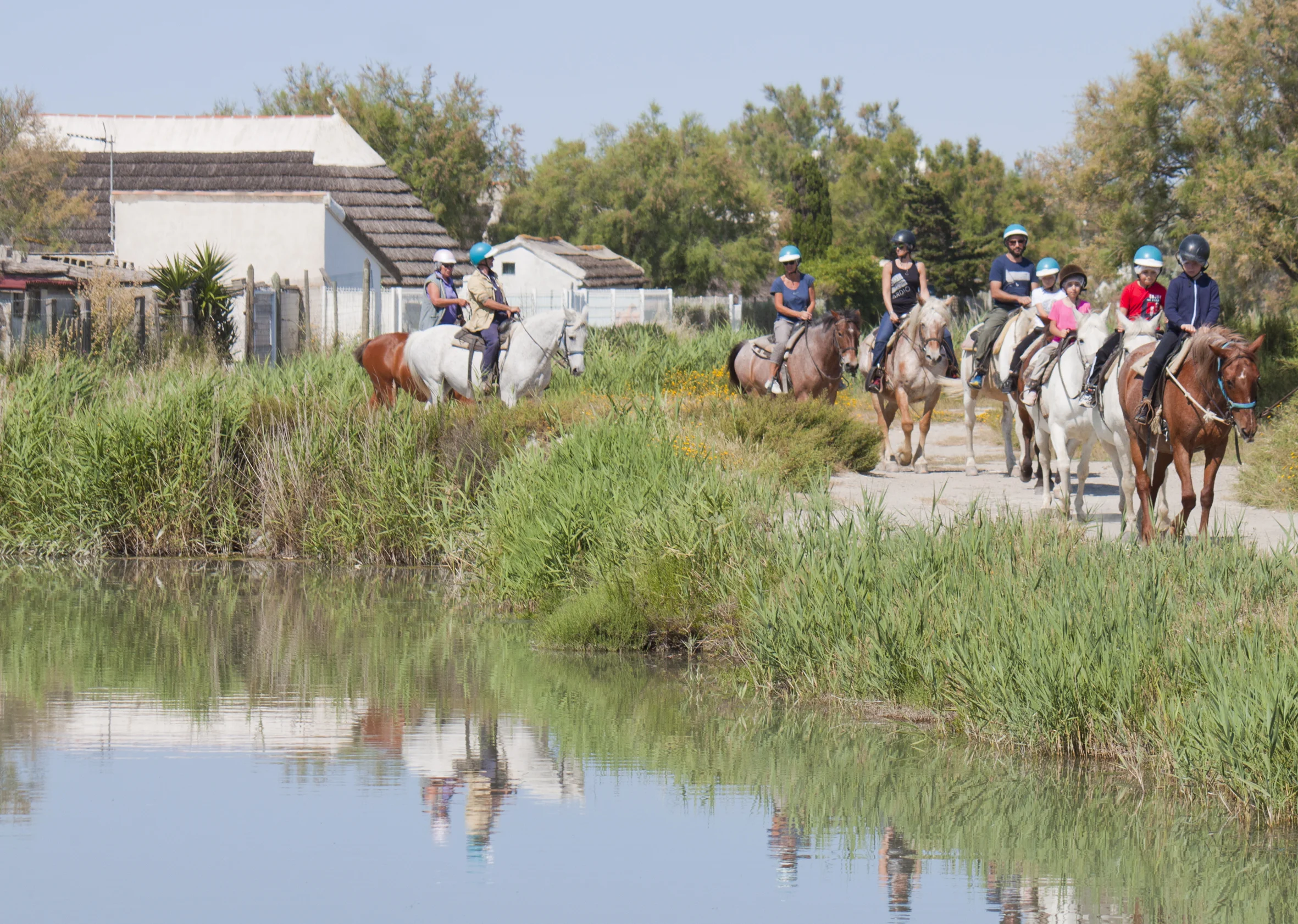 Balade à cheval en Camargue : La Découverte